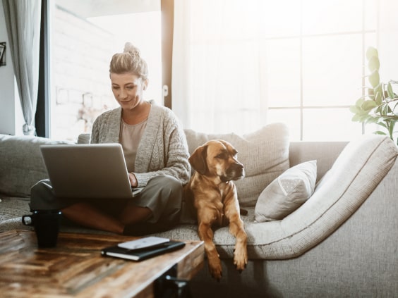 frau-laptop-hund.jpg